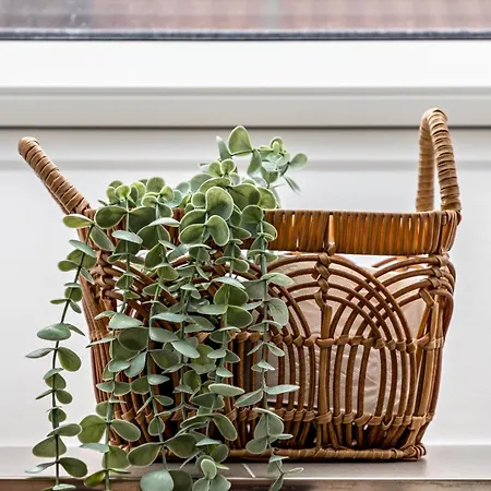 Parkside S5 - 8min Legoland *